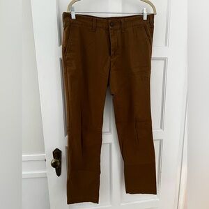 Express Chestnut Brown Chinos
